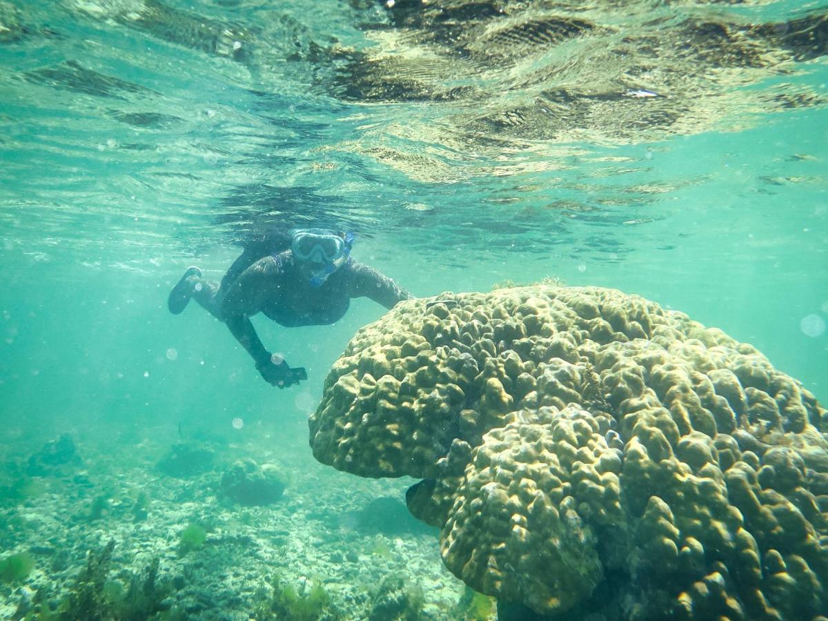 Paka House-Rafiki Village Watamu Bagian luar foto